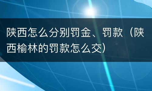 陕西怎么分别罚金、罚款（陕西榆林的罚款怎么交）