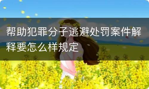帮助犯罪分子逃避处罚案件解释要怎么样规定