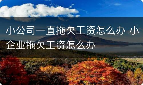 小公司一直拖欠工资怎么办 小企业拖欠工资怎么办