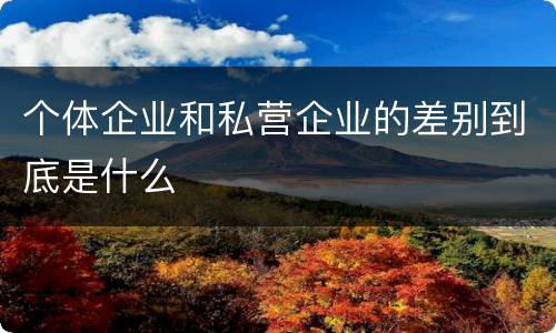 个体企业和私营企业的差别到底是什么