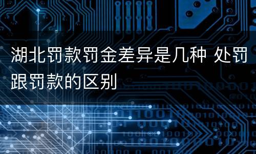 湖北罚款罚金差异是几种 处罚跟罚款的区别