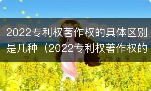 2022专利权著作权的具体区别是几种（2022专利权著作权的具体区别是几种形式）