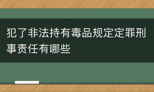 犯了非法持有毒品规定定罪刑事责任有哪些