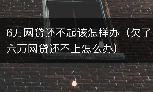 6万网贷还不起该怎样办（欠了六万网贷还不上怎么办）