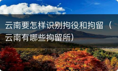 云南要怎样识别拘役和拘留（云南有哪些拘留所）