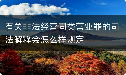有关非法经营同类营业罪的司法解释会怎么样规定