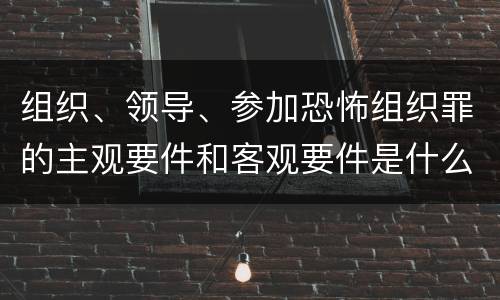 组织、领导、参加恐怖组织罪的主观要件和客观要件是什么
