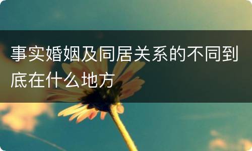 事实婚姻及同居关系的不同到底在什么地方