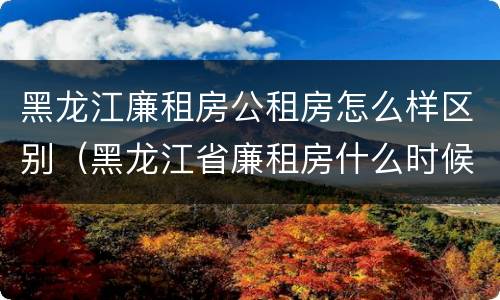 黑龙江廉租房公租房怎么样区别（黑龙江省廉租房什么时候卖给个人）