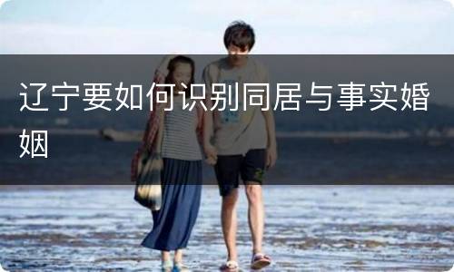 辽宁要如何识别同居与事实婚姻