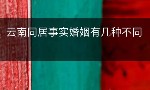 云南同居事实婚姻有几种不同