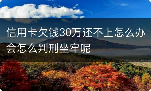 信用卡欠钱30万还不上怎么办会怎么判刑坐牢呢