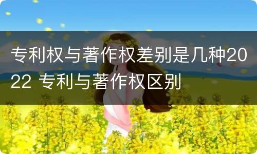 专利权与著作权差别是几种2022 专利与著作权区别