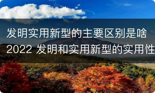 发明实用新型的主要区别是啥2022 发明和实用新型的实用性包括