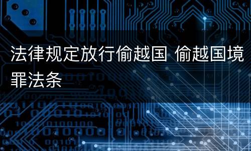 法律规定放行偷越国 偷越国境罪法条