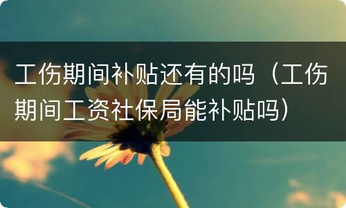 工伤期间补贴还有的吗（工伤期间工资社保局能补贴吗）