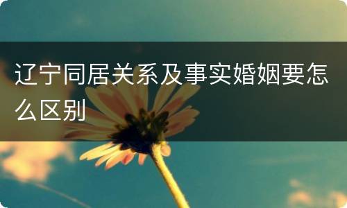 辽宁同居关系及事实婚姻要怎么区别