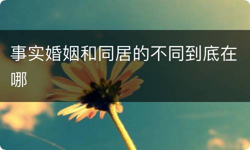 事实婚姻和同居的不同到底在哪