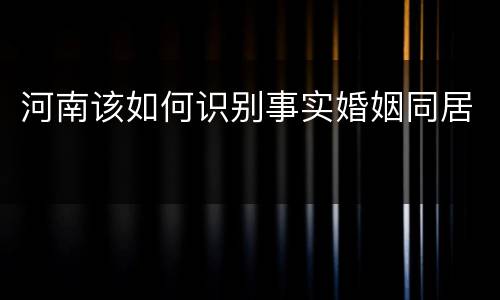 河南该如何识别事实婚姻同居