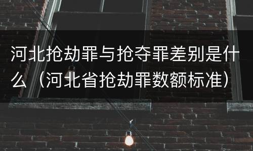 河北抢劫罪与抢夺罪差别是什么（河北省抢劫罪数额标准）