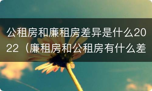 公租房和廉租房差异是什么2022（廉租房和公租房有什么差别）
