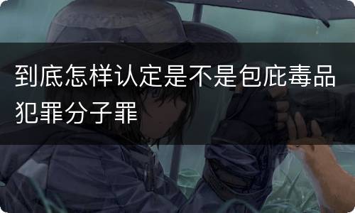 到底怎样认定是不是包庇毒品犯罪分子罪