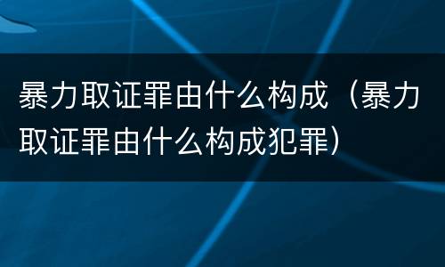暴力取证罪由什么构成（暴力取证罪由什么构成犯罪）