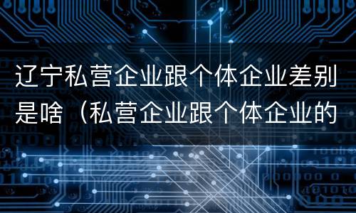 辽宁私营企业跟个体企业差别是啥（私营企业跟个体企业的区别）