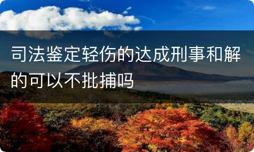 司法鉴定轻伤的达成刑事和解的可以不批捕吗