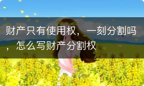 财产只有使用权，一刻分割吗，怎么写财产分割权