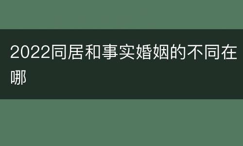 2022同居和事实婚姻的不同在哪