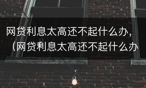 网贷利息太高还不起什么办，（网贷利息太高还不起什么办）