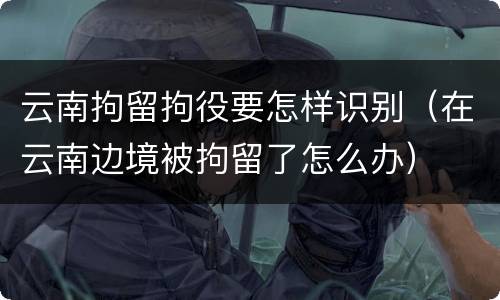 云南拘留拘役要怎样识别（在云南边境被拘留了怎么办）