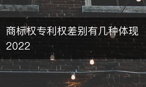 商标权专利权差别有几种体现2022