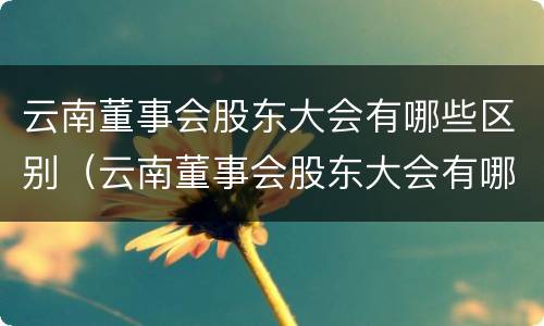 云南董事会股东大会有哪些区别（云南董事会股东大会有哪些区别和联系）