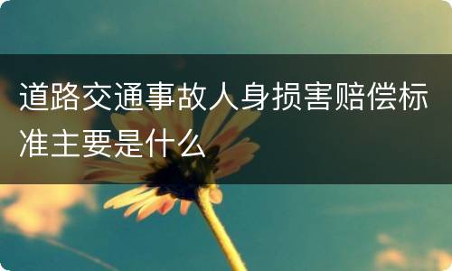道路交通事故人身损害赔偿标准主要是什么
