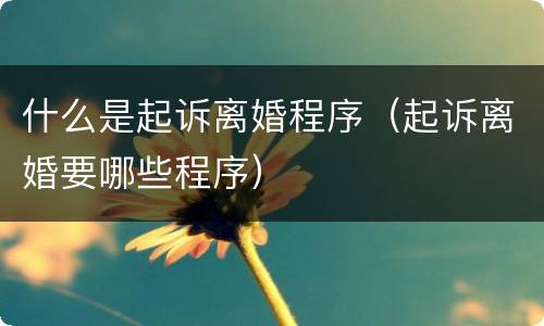 什么是起诉离婚程序（起诉离婚要哪些程序）