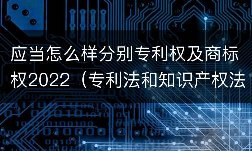 应当怎么样分别专利权及商标权2022（专利法和知识产权法）