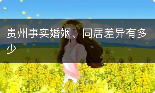 贵州事实婚姻、同居差异有多少