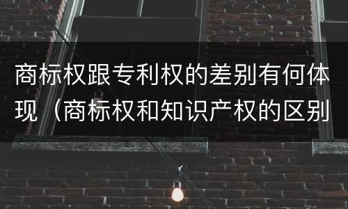 商标权跟专利权的差别有何体现（商标权和知识产权的区别）