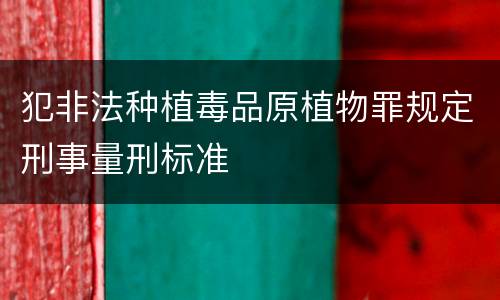 犯非法种植毒品原植物罪规定刑事量刑标准