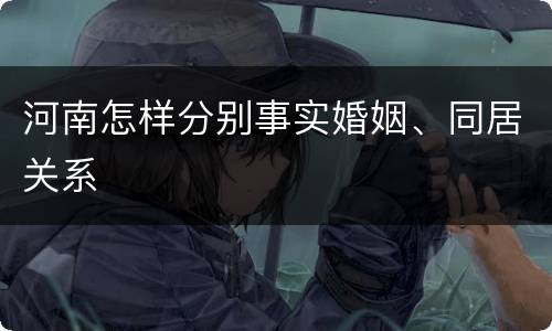 河南怎样分别事实婚姻、同居关系