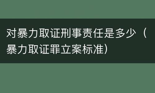 对暴力取证刑事责任是多少（暴力取证罪立案标准）