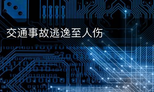 交通事故逃逸至人伤