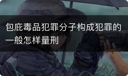 包庇毒品犯罪分子构成犯罪的一般怎样量刑