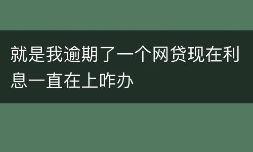 就是我逾期了一个网贷现在利息一直在上咋办