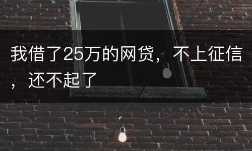 我借了25万的网贷，不上征信，还不起了
