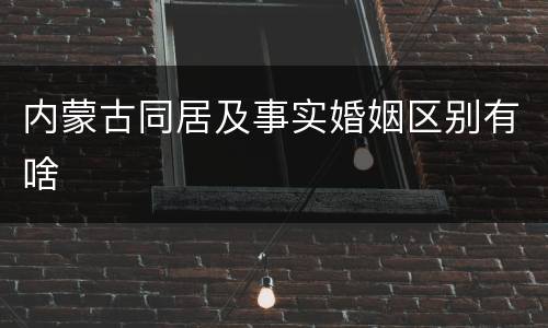 内蒙古同居及事实婚姻区别有啥
