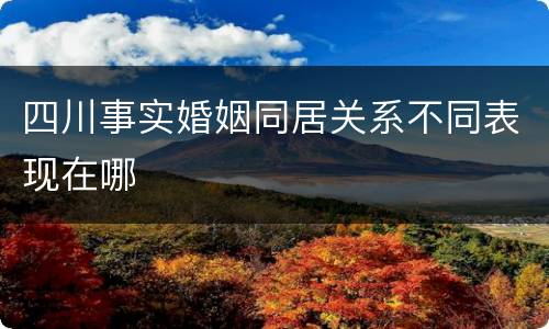 四川事实婚姻同居关系不同表现在哪