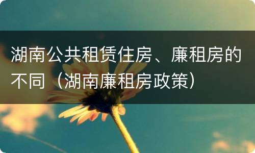 湖南公共租赁住房、廉租房的不同（湖南廉租房政策）